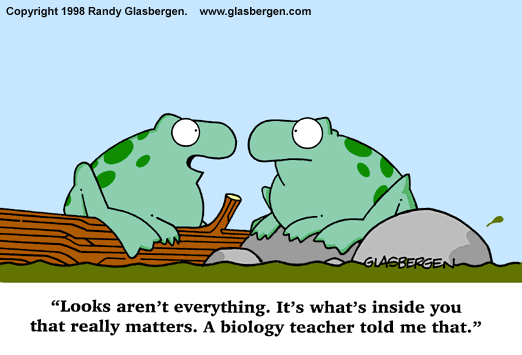 Cartoon of two frogs sitting on a log. One says to the other, "Looks aren't everything. It's what's inside you that really matter. A biology teacher told me that." 