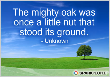 Motivational Quote The mighty oak was once a little nut that stood its 