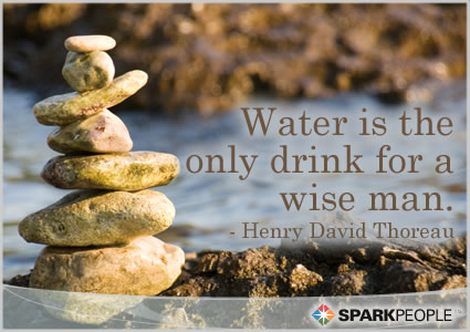 Water is the only drink for a wise man. | SparkPeople