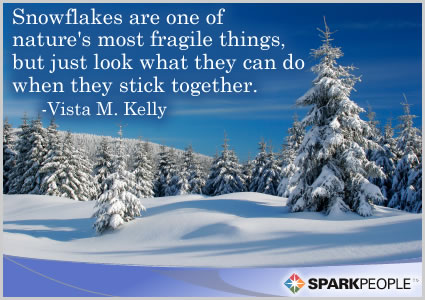 Snowflakes are one of nature’s most fragile things, but just | SparkPeople