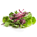 Beet greens