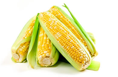 Is corn a vegetable or fruit?