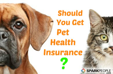 healthy pets
