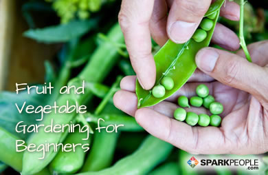 http://www.sparkpeople.com/news/genericpictures/bigpictures/fruit_and_vegetable_gardening_for_beginners%20(2).jpg