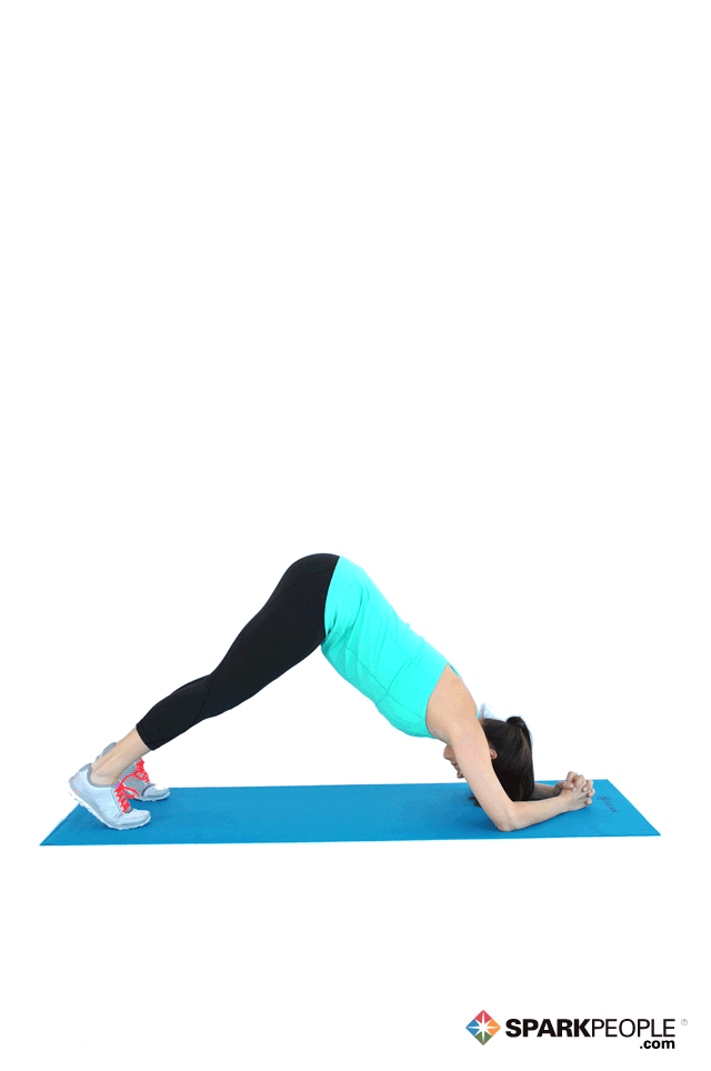 Dolphin Pose Exercise