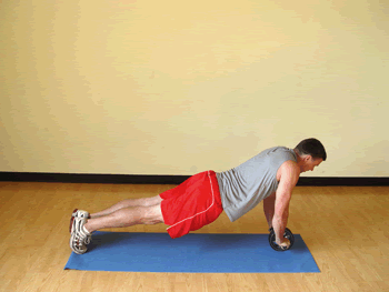 Plank with Ab Wheel Exercise