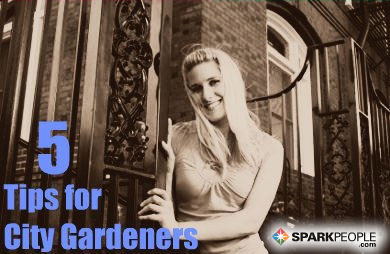 5 Gardening Solutions for Urbanites
