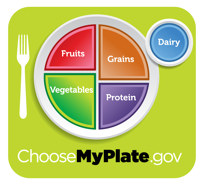 Differences Between Food Pyramid and Plate | SparkPeople