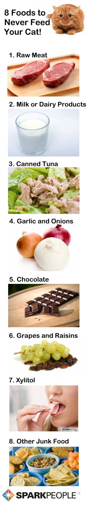 8 Foods You Should Never Feed Your Cat SparkPeople