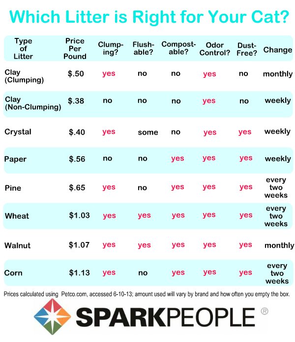 Which Cat Litter is Right for Your Pet? | SparkPeople