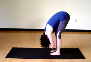 Standing Wide-Legged Forward Fold  Prasarita Padottanasana 