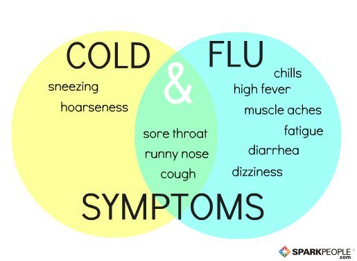 Cold Or Flu Symptoms Chart