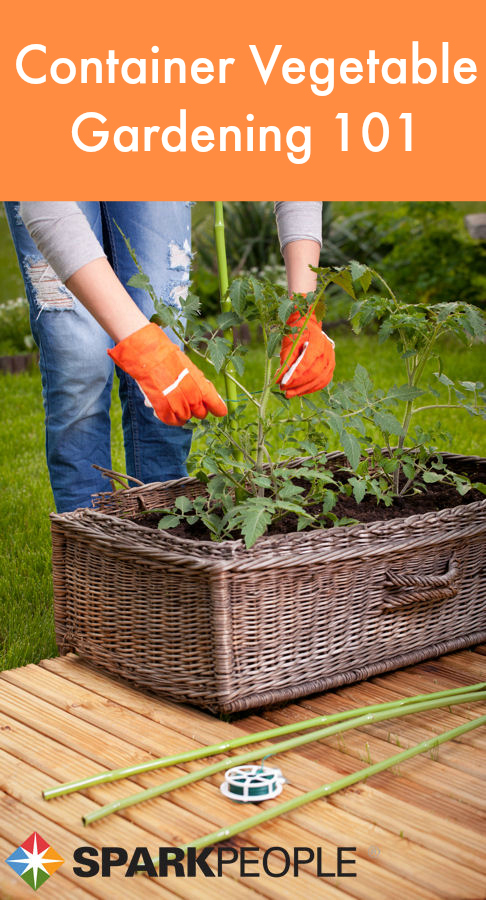 A Beginner S Guide To Container Vegetable Gardening Sparkpeople