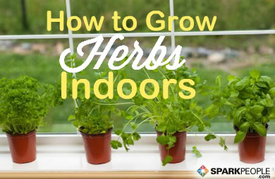 How To Start An Indoor Herb Garden Sparkpeople