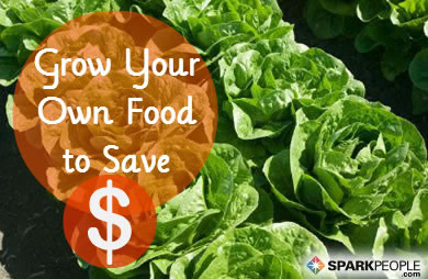 Calculating the Cost of Growing Your Own Food