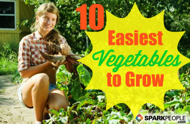 The 10 Easiest Vegetables to Grow