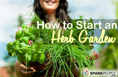 How to Grow Your Own Herbs for Cooking